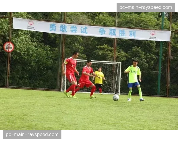 球迷环保行为融入观赛文化，德甲绿色倡议获广泛响应